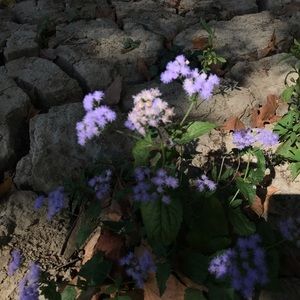 Meet your Posher, Dalton